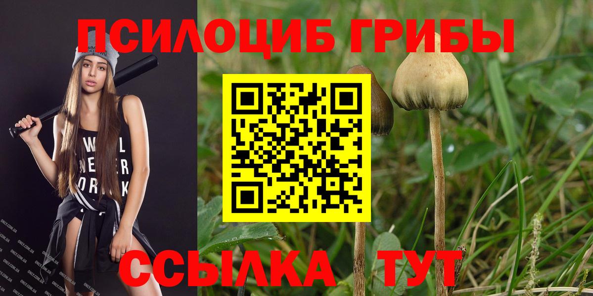 Галлюциногенные грибы ЛСД Щёлково
