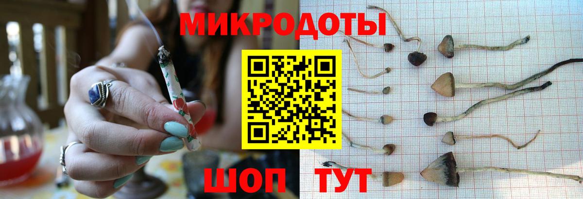 Псилоцибиновые грибы мицелий  Вход с VPN  Щёлково 